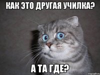 Как это другая училка? А та где?