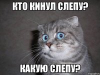 Кто кинул слепу? Какую слепу?