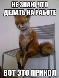 Не знаю,что делать на работе Вот это прикол