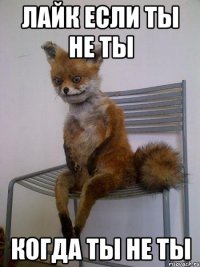 Лайк если ты не ты когда ты не ты