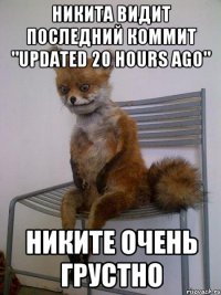 Никита видит последний коммит "Updated 20 hours ago" Никите очень грустно