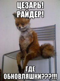 цезарь! райдер! где обновляшки???!!!