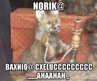 NORIK@ BAXNIQ@ CXELUCCCCCCCCC ,,,,,,,AHAAHAH ,,