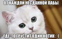 От каждой несданной лабы где-то грустит один котик :`(