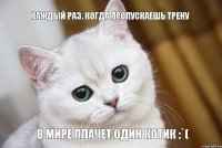 в мире плачет один котик :`( Каждый раз, когда пропускаешь трену