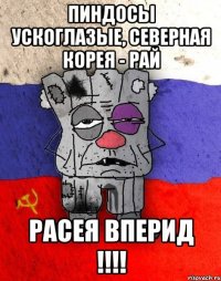 Пиндосы ускоглазые, Северная Корея - РАЙ РАСЕЯ ВПЕРИД !!!!