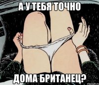 А у тебя точно дома британец?