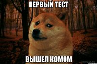 Первый тест вышел комом