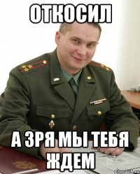 откосил а зря мы тебя ждем