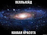 Пелльхейд какаая красота