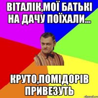 Віталік,мої батькі на дачу поїхали... Круто,помідорів привезуть