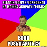 Віталік,чому в Чорнобилі не можна збирати гриби? Вони розбігаються