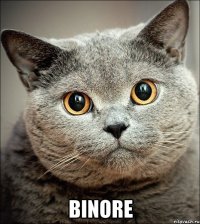  BinOre