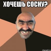 Хочешь сосну? 