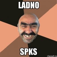 Ladno Spks