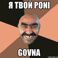 Я ТВОЙ PONI GOVNA