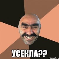  Усекла??