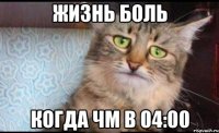 жизнь боль когда чм в 04:00