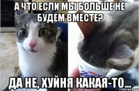 А что если мы больше не будем вместе? Да не, хуйня какая-то...