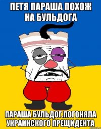 Петя параша похож на бульдога Параша бульдог.погоняла украинского прещидента