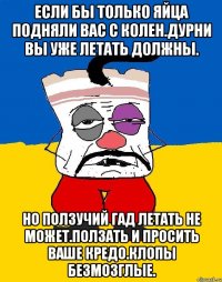 Если бы только яйца подняли вас с колен.дурни вы уже летать должны. Но ползучий гад летать не может.ползать и просить ваше кредо.клопы безмозглые.