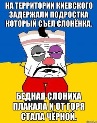 На территории киевского задержали подростка который съел слонёнка. Бедная слониха плакала и от горя стала чёрной.