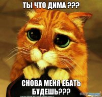 ты что дима ??? снова меня ебать будешь???