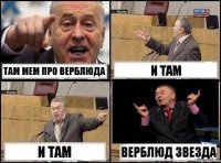 там мем про верблюда и там и там ВЕРБЛЮД ЗВЕЗДА