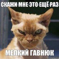 скажи мне это ещё раз мелкий гавнюк