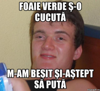 FOAIE VERDE Ş-O CUCUTĂ M-AM BEŞIT ŞI-AŞTEPT SĂ PUTĂ