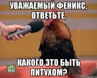 Уважаемый феникс, ответьте, какого это быть питухом?