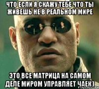 Что если я скажу тебе что ты живешь не в реальном мире это все матрица на самом деле миром управляет чаек)