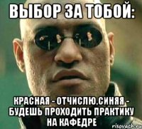 Выбор за тобой: Красная - отчислю,синяя - будешь проходить практику на кафедре