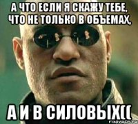 А что если я скажу тебе, что не только в объемах, а и в силовых((