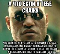 А что если я тебе скажу что если ты не будешь есть каждые 2-3 часа , то катаболизма мышечной массы у тебя не случиться , твой организм не будет голодать и метаболизм у тебя не замедлиться .