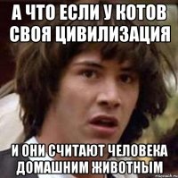 а что если у котов своя цивилизация и они считают человека домашним животным