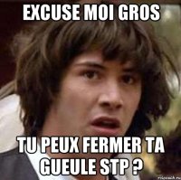 Excuse moi gros Tu peux fermer ta gueule stp ?