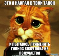 это я насрал в твой тапок и пытаюсь применить гипноз вижу пока не получается