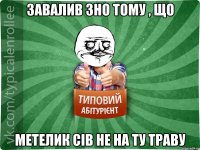 ЗАВАЛИВ ЗНО ТОМУ , ЩО МЕТЕЛИК СІВ НЕ НА ТУ ТРАВУ