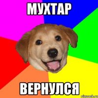 мухтар вернулся