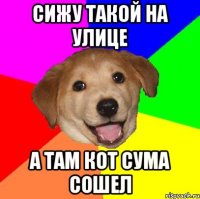 Сижу такой на улице А там кот сума сошел