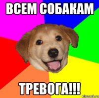 Всем собакам Тревога!!!