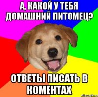 а, какой у тебя домашний питомец? ответы писать в коментах