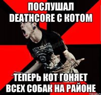 Послушал Deathcore с котом Теперь кот гоняет всех собак на районе