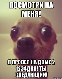 Посмотри на меня! Я провел на доме 2 1234дня! Ты следующий!