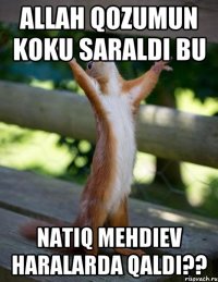 ALLAH QOZUMUN KOKU SARALDI BU NATIQ MEHDIEV HARALARDA QALDI??