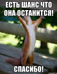 Есть шанс что она останится! спасибо!