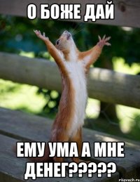 О БОЖЕ ДАЙ ЕМУ УМА А МНЕ ДЕНЕГ?????