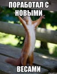 поработал с новыми весами