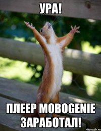 Ура! Плеер mobogenie заработал!